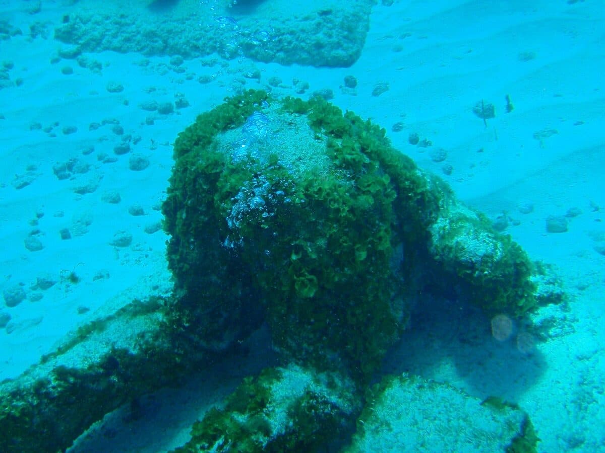 foto · museo submarino