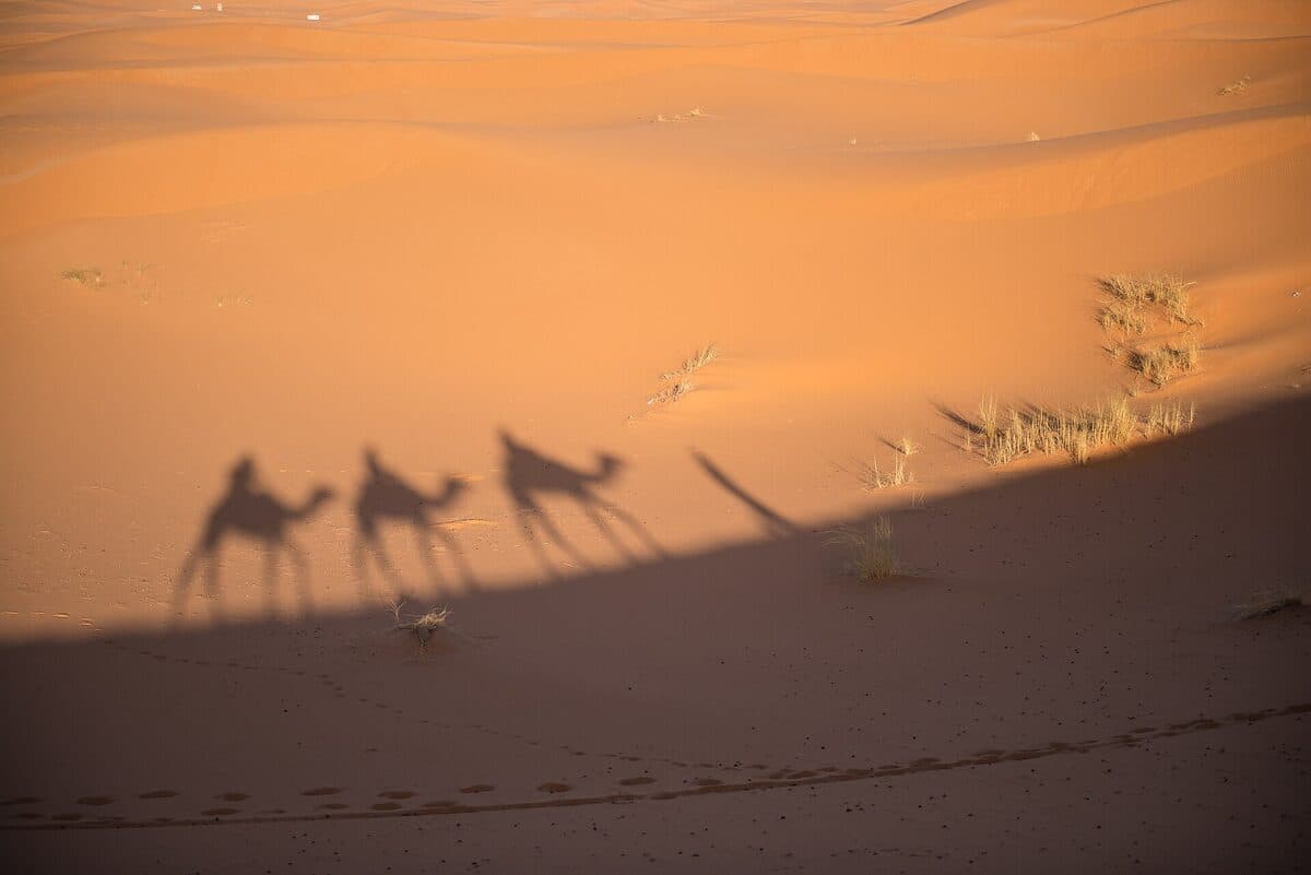 foto · sombras de una caravana de camellos sobre las dunas del Erg Chebbi