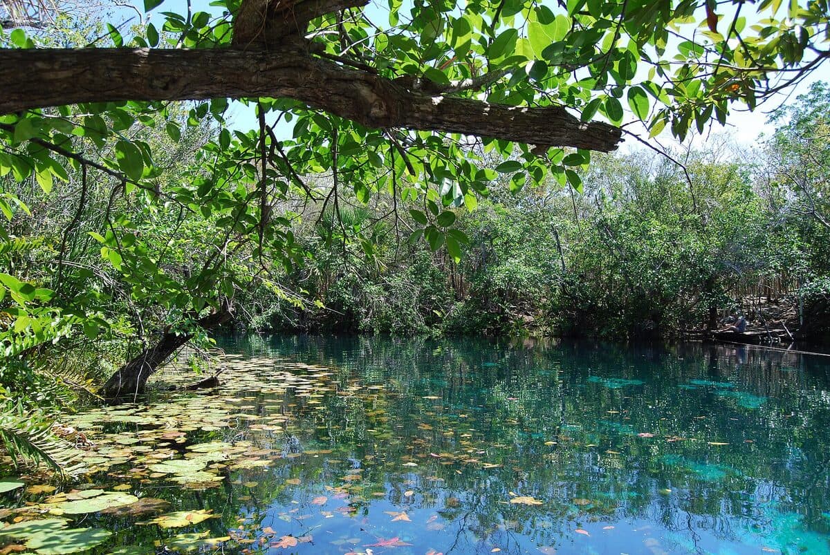 foto · cenote